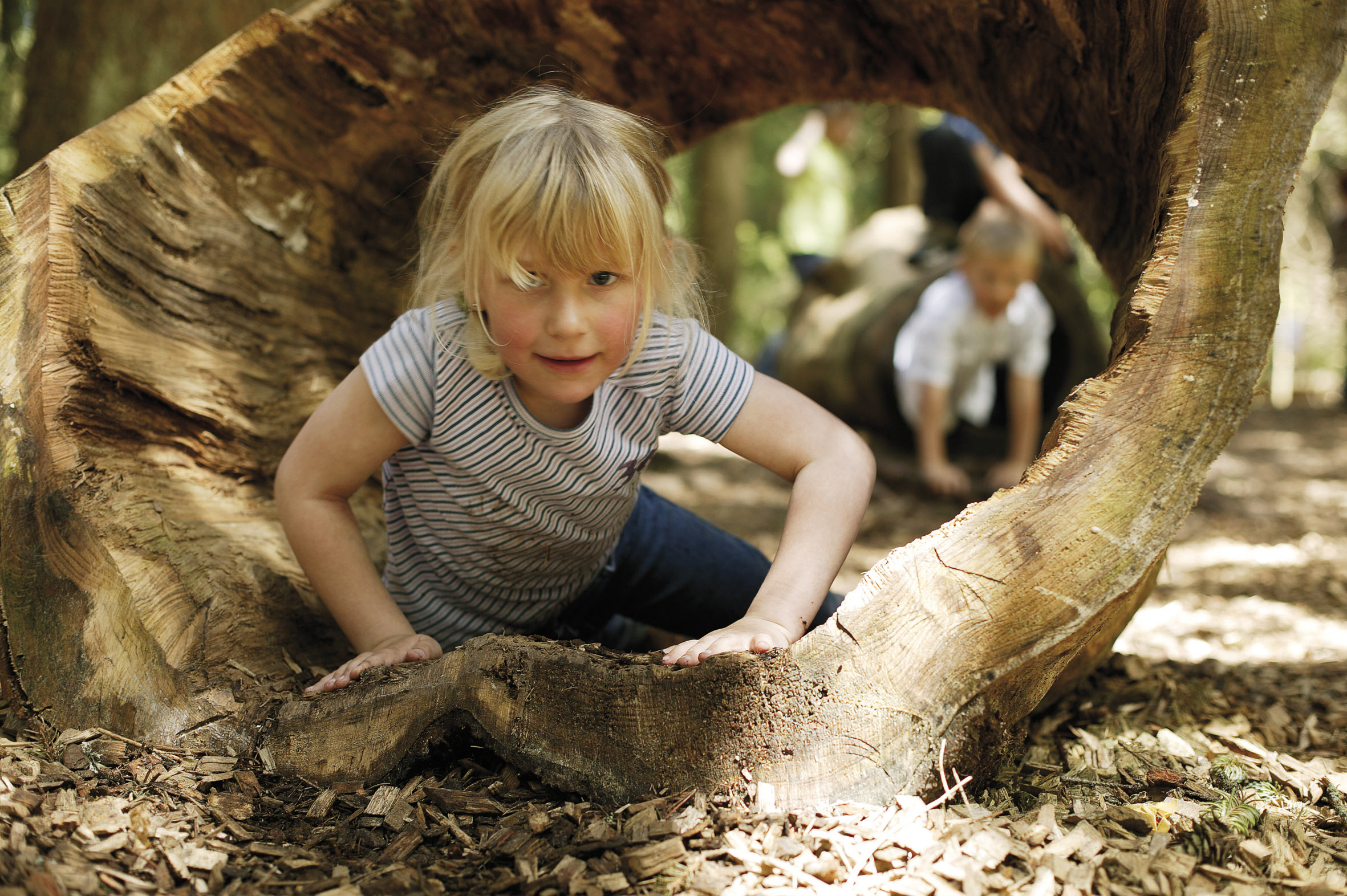 Kinder spielen auf einem Waldspielplatz und klettern durch einen hohlen Baumstamm