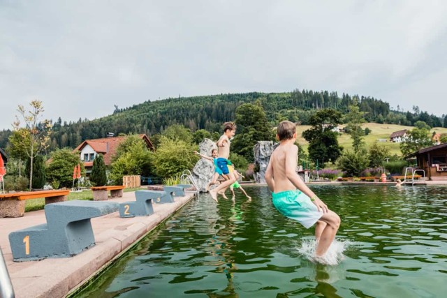 Kinder springen von den Startblöcken ins Schwimmbecken
