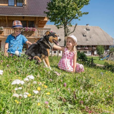 Zwei kleine Kinder sitzen mit einem Hund auf einer blühenden Wiese vor einem Bauernhof.